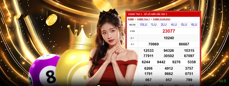 Imagem promocional da ok8 mostrando a plataforma e suas vantagens